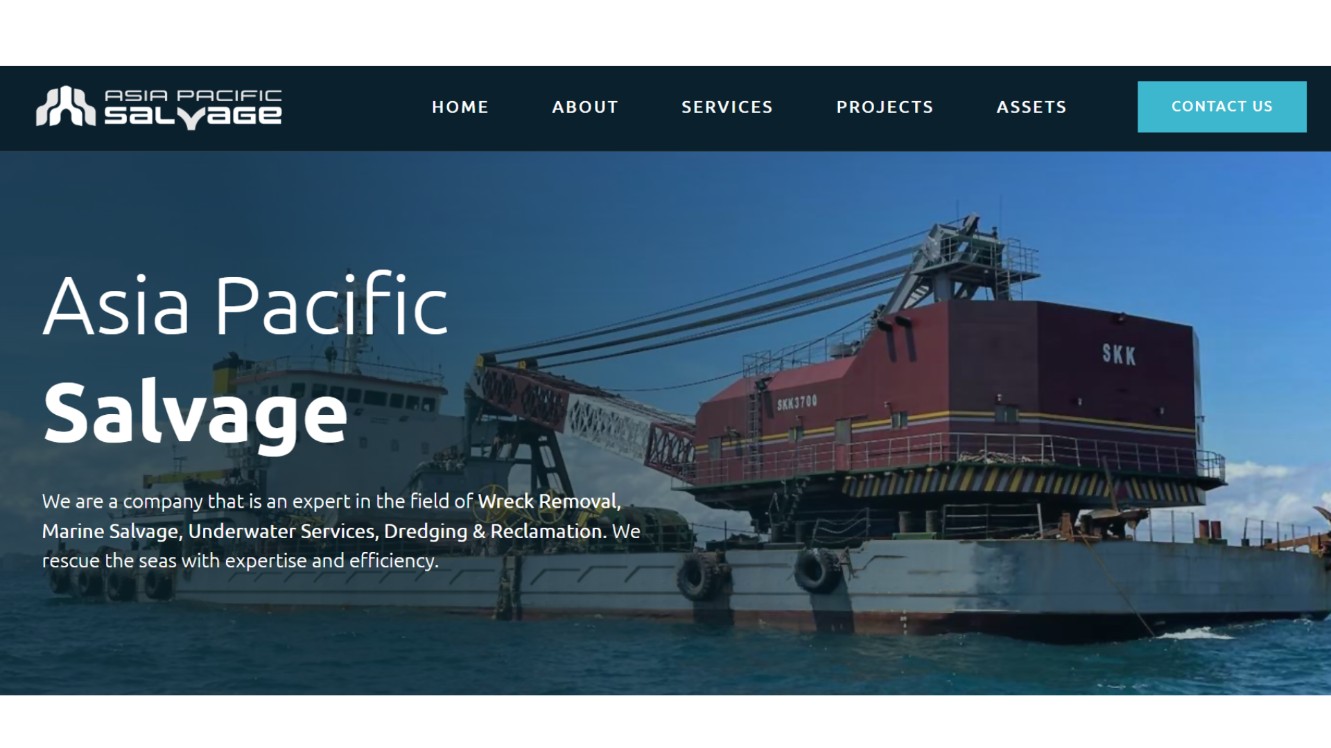 Asia Pacific Salvage Brand